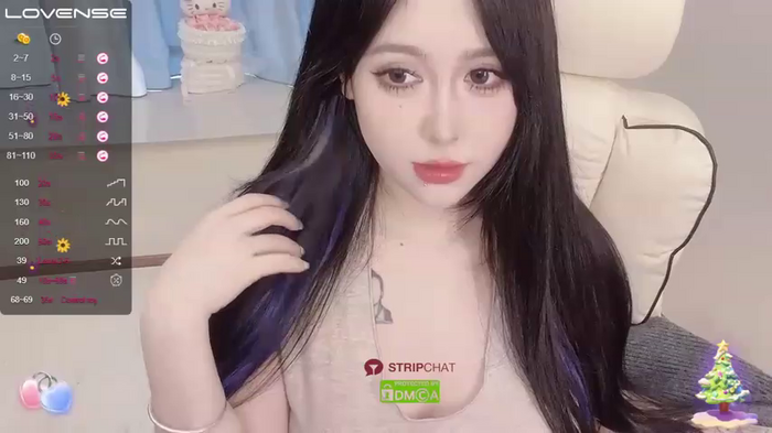 Naixue-520