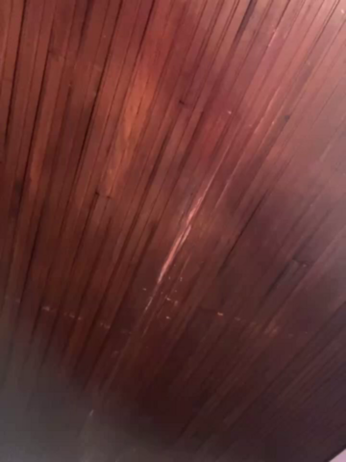 Amy_Litt