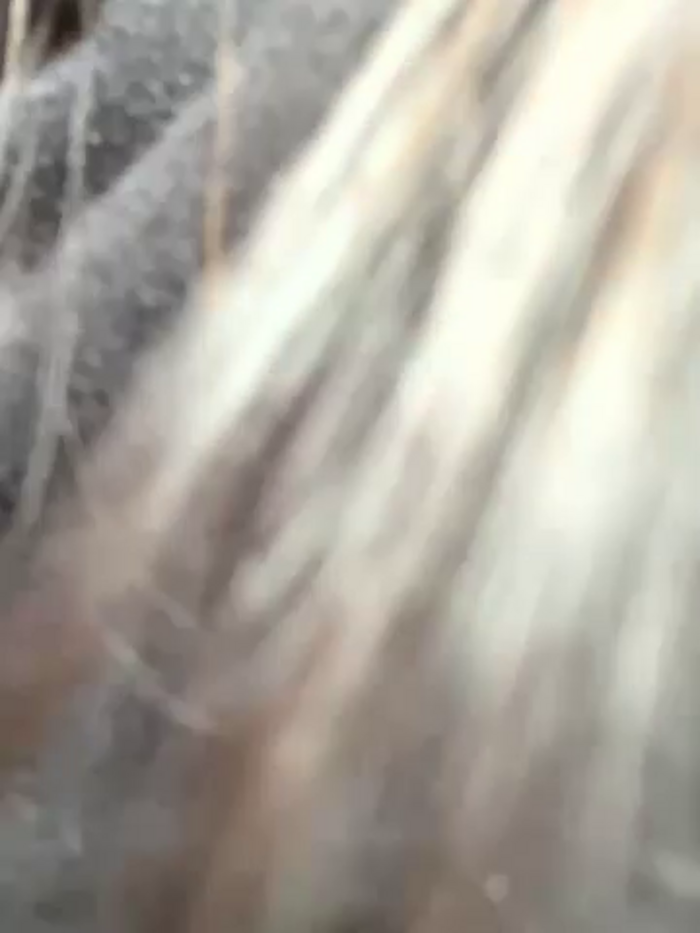 Amy_Litt