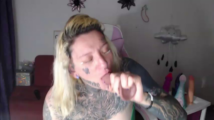 SLOPPYTITSS
