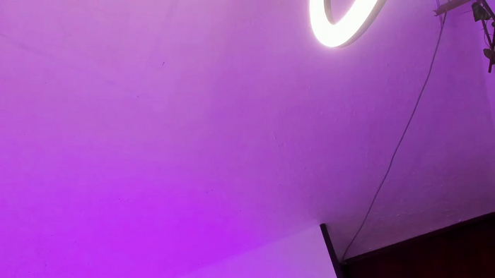Neekito