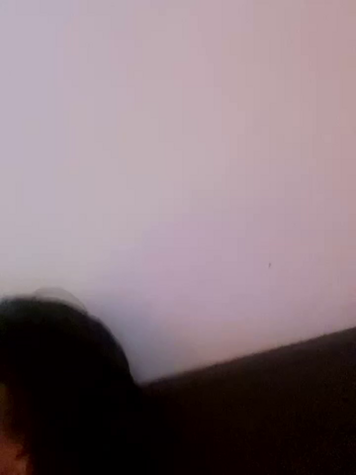 vienncica