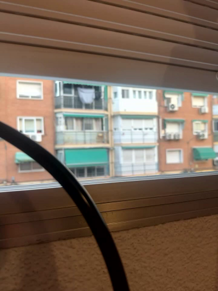 Alirawrz