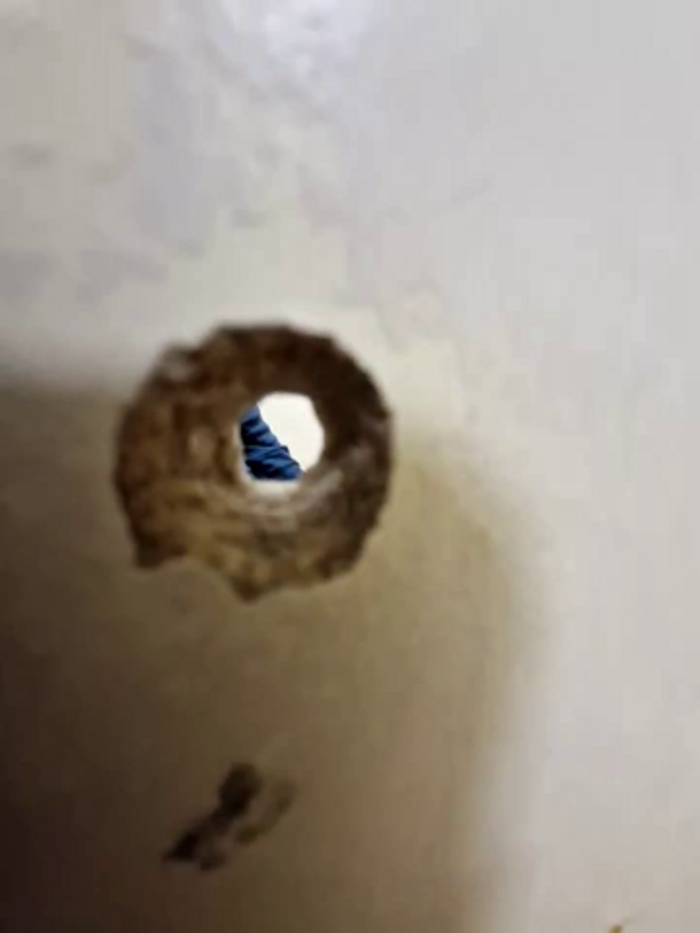 Ctoned2