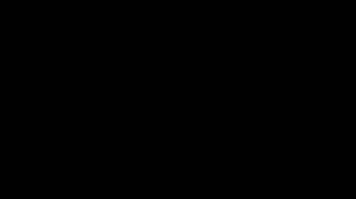 thebrusser