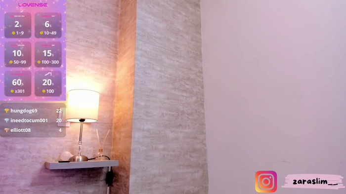 Zara_slim22