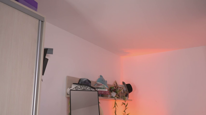 Amaliamour