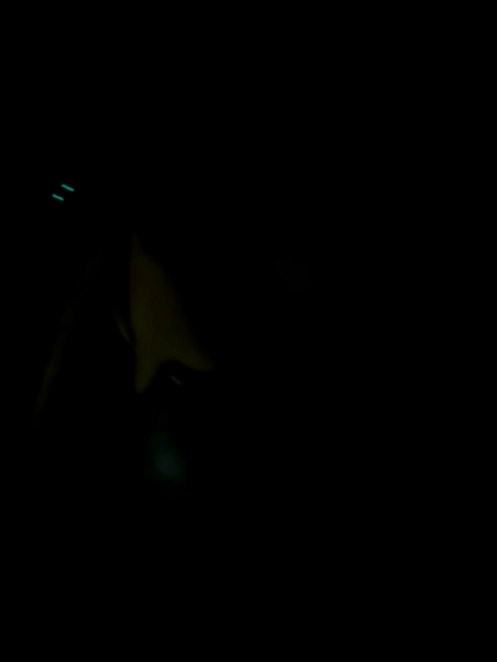KirstieVegas