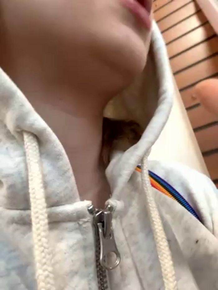 Baby_Tiny
