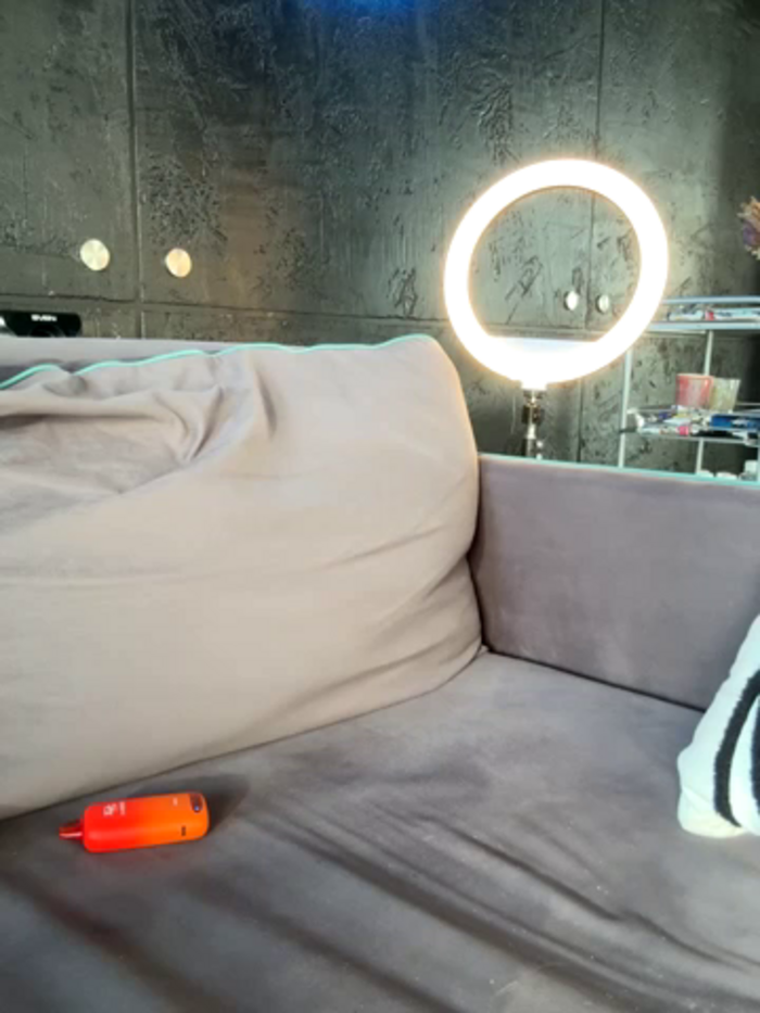 SSSATIVA_model