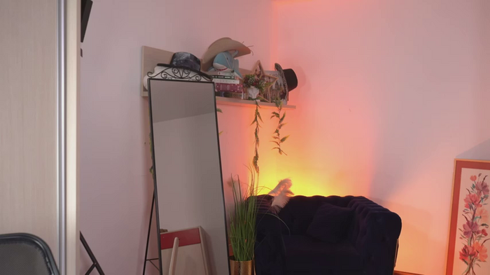 Amaliamour
