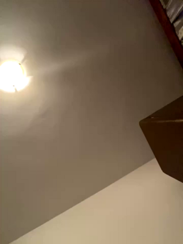 Ameliablack_1