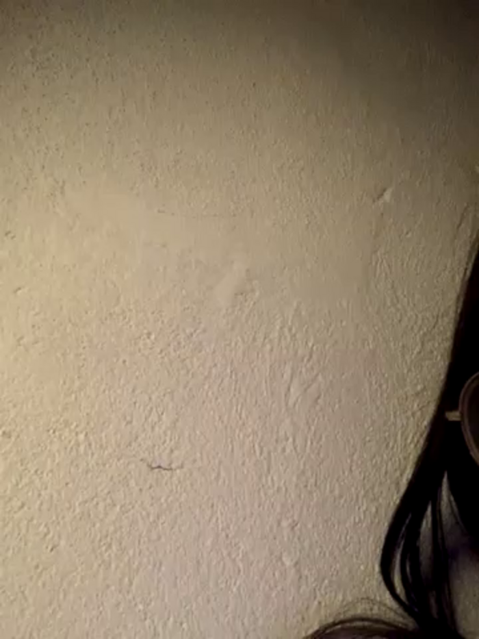aylanaa