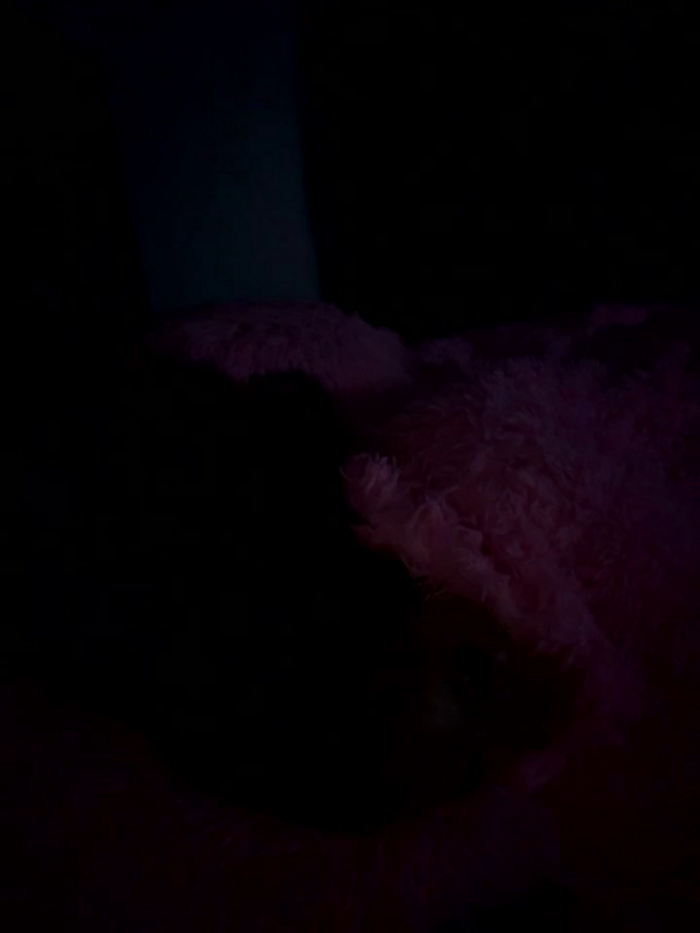 yellalovee