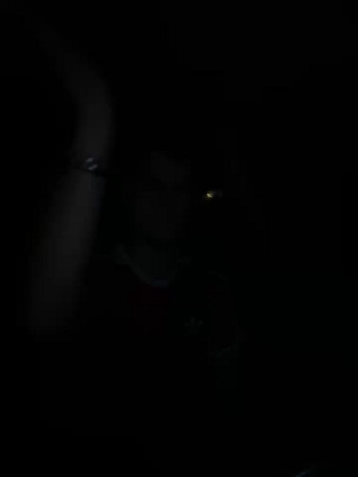 Cookieboy88