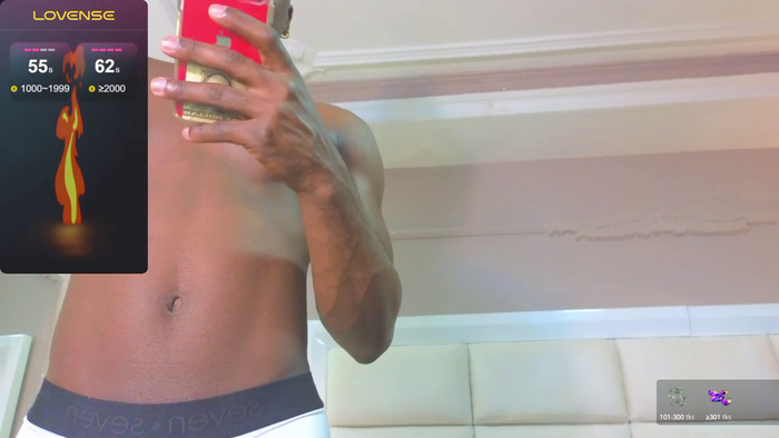 JanStallion