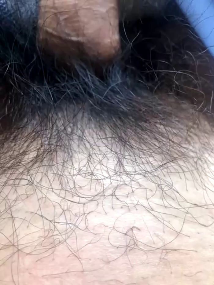 xhqds