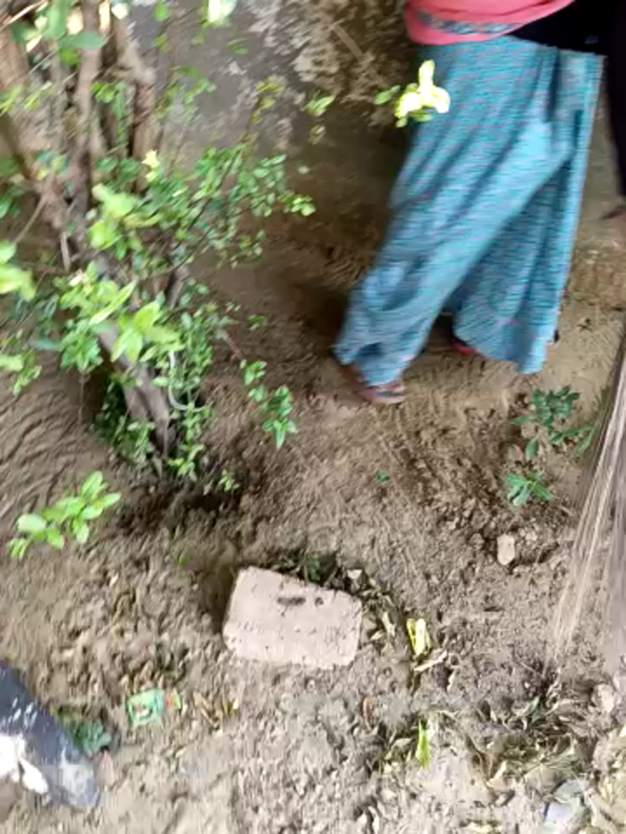 Indiankanak