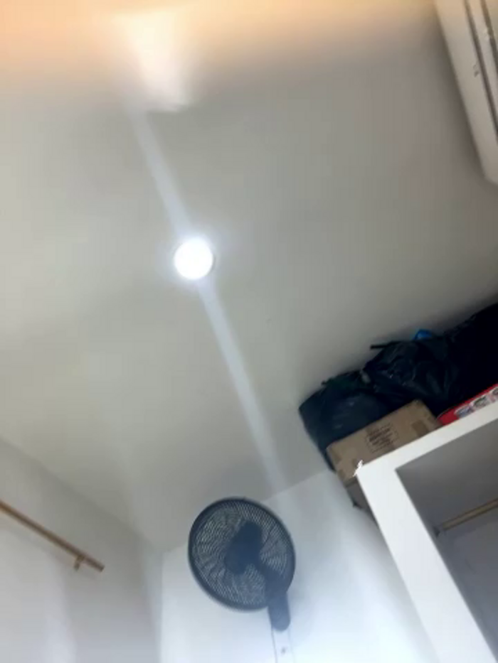 Dalia__melej