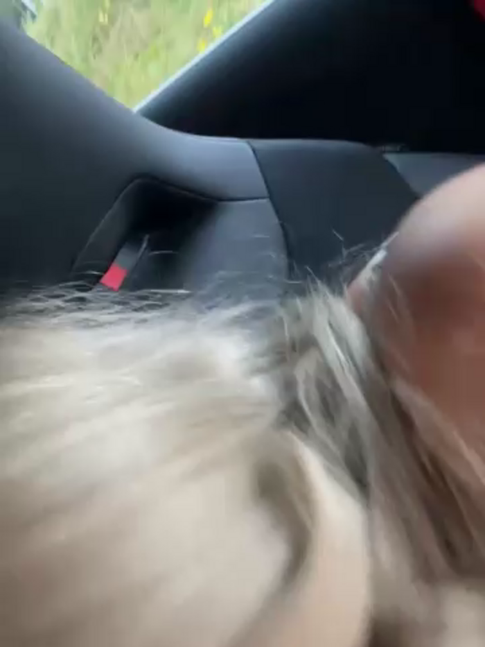 EmiliaPetrova