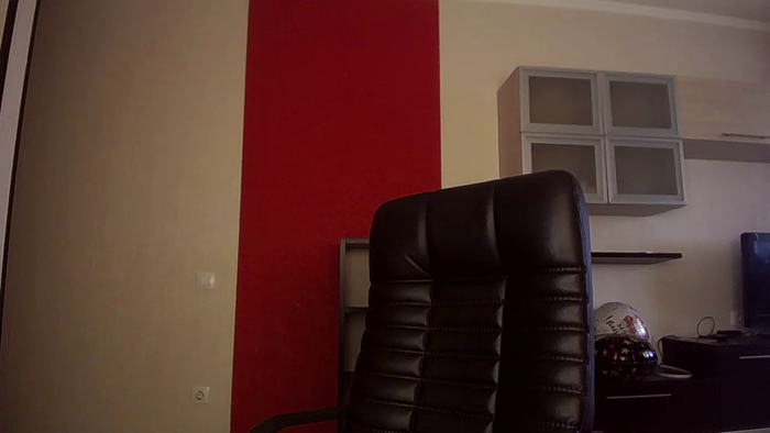 ladysabotage