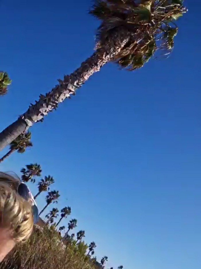 SheIsSomething