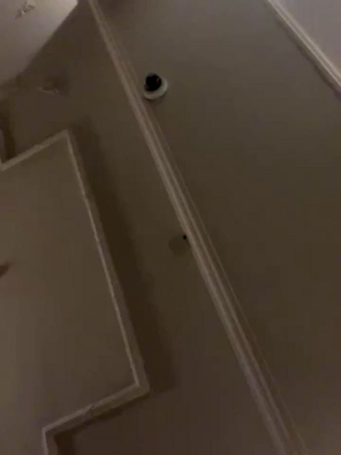 LadyTatiana_Madam