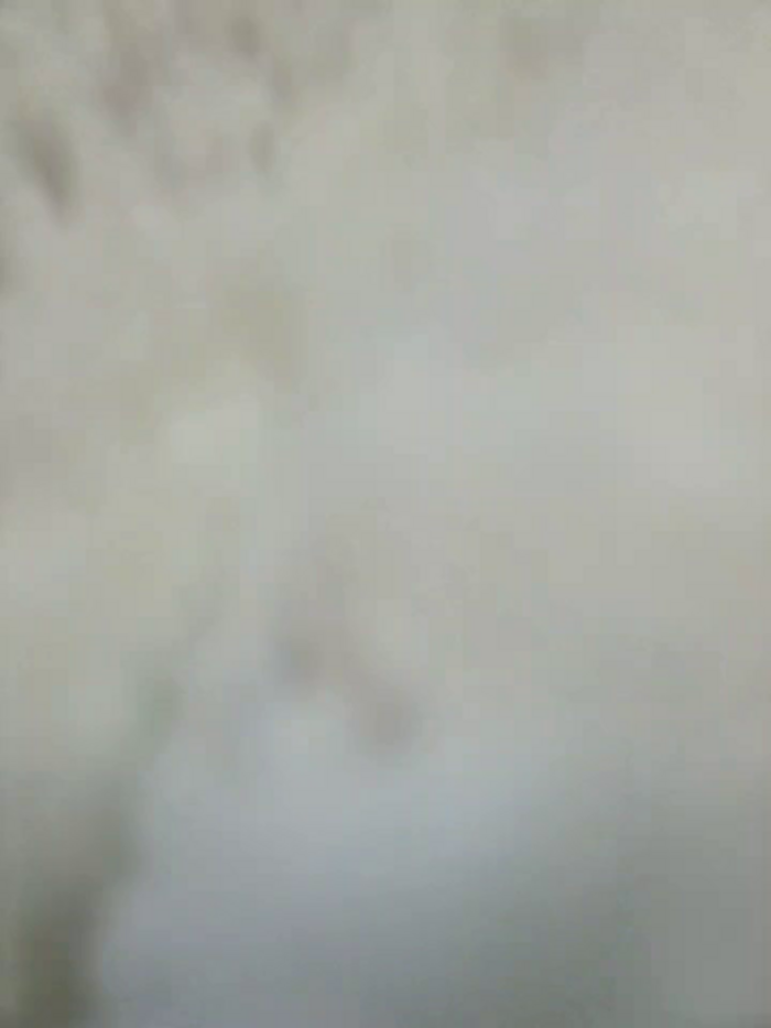 _Alice_0-0