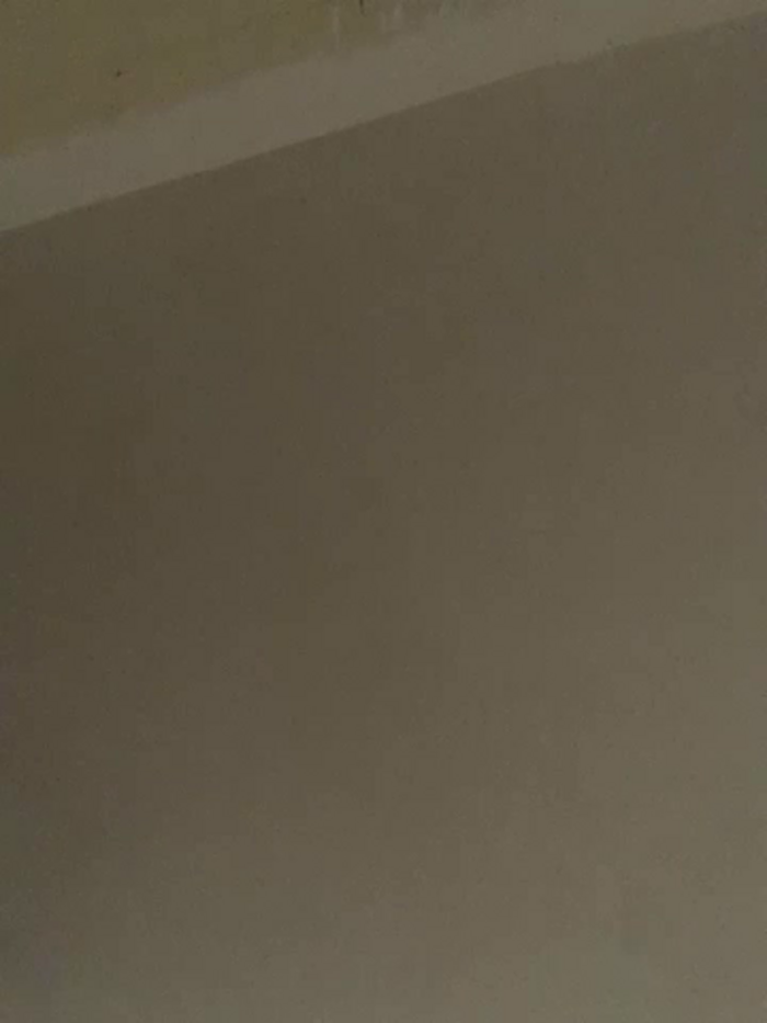 meliAngelical
