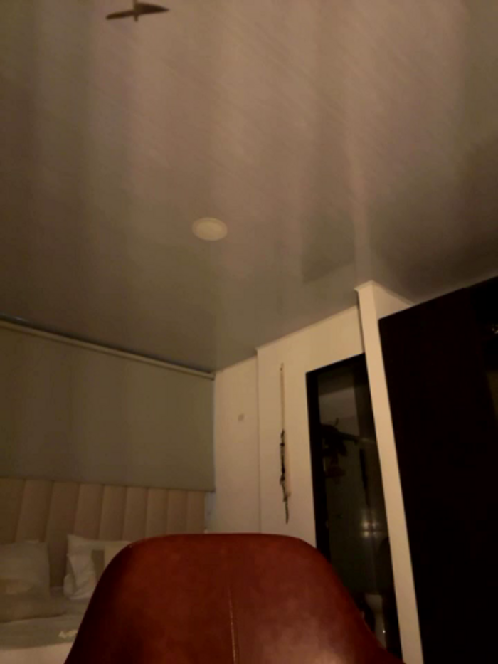 Brunettexio