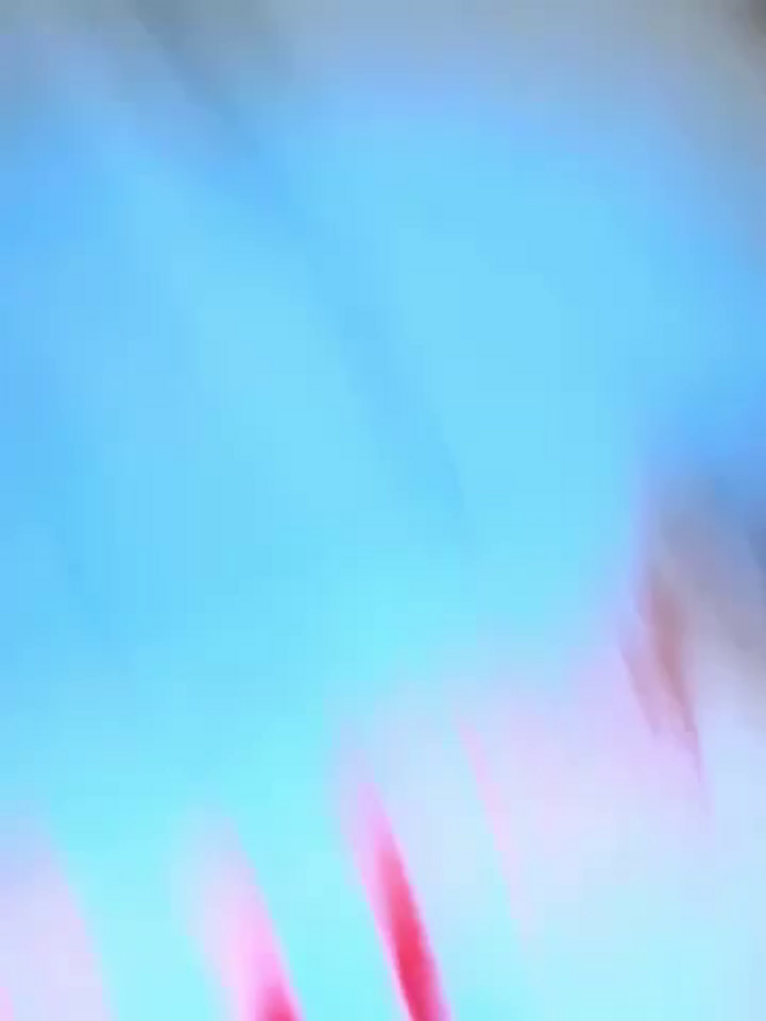 Nami_ninja