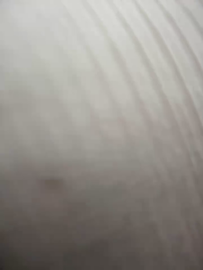 Tamyjenkins1