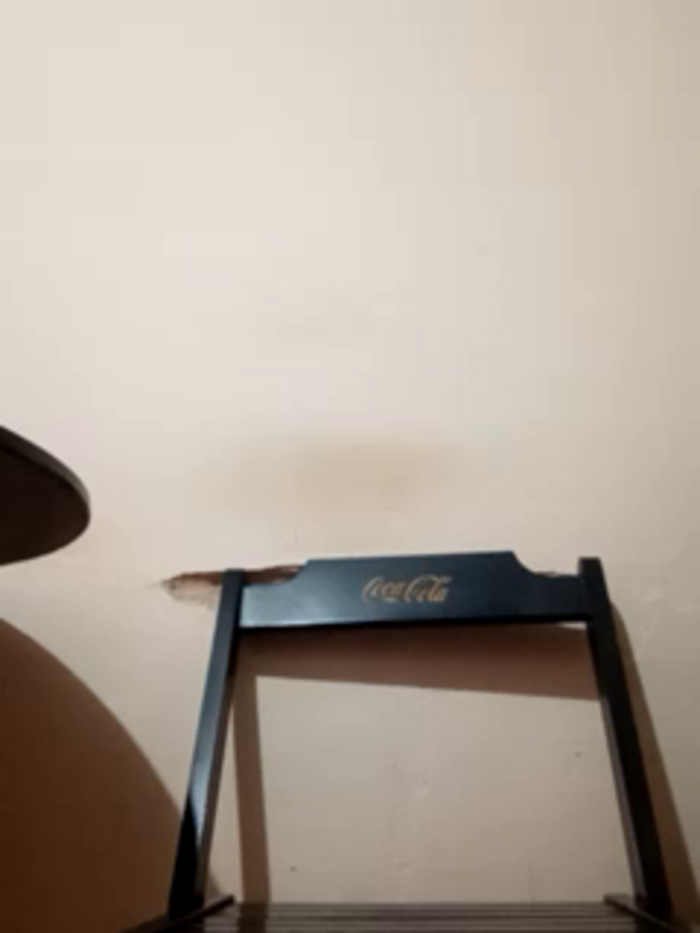 Peludo173317