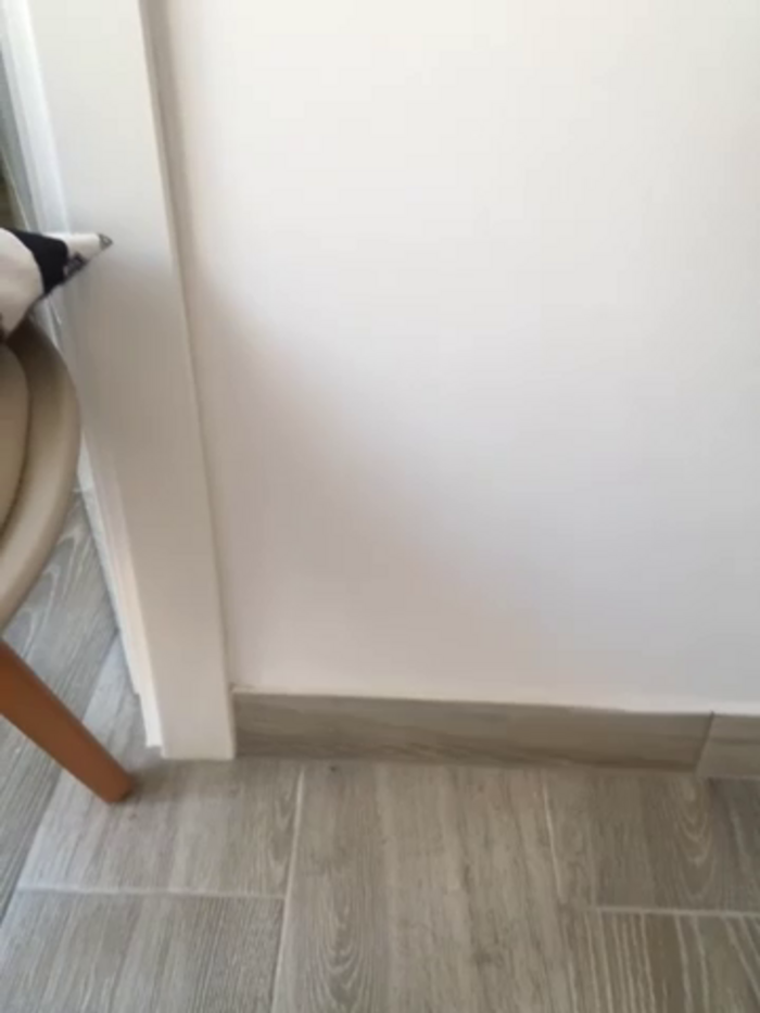 DoulyArabic69