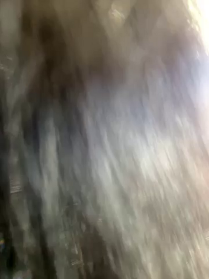 ThicBunz