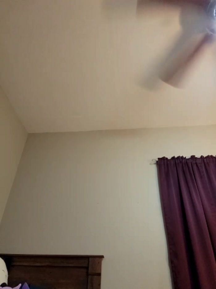 AmethystFoxx