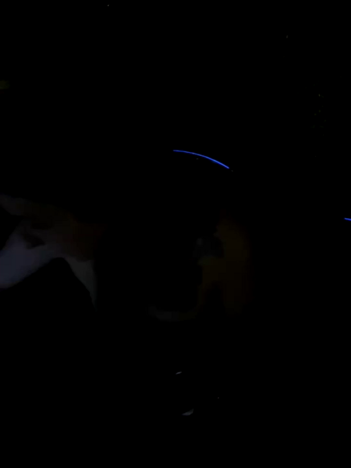 DoriDeluxe66
