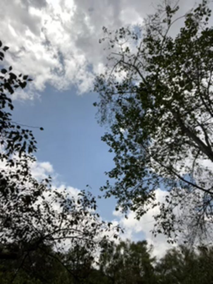 Sam_Sara