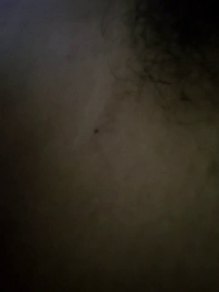 hotbaby_5