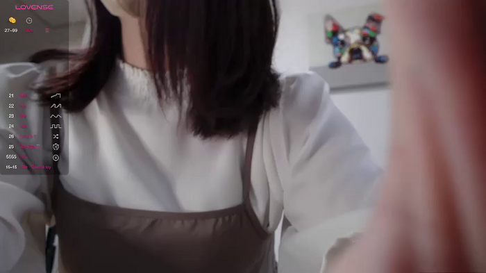 hina___jp
