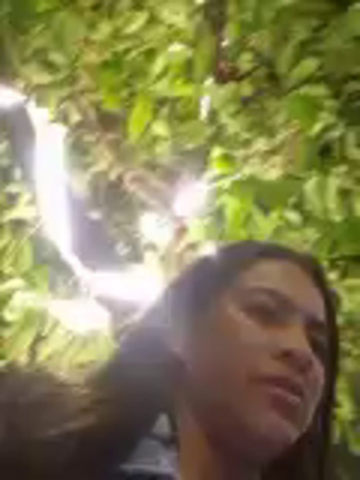 DAELAA