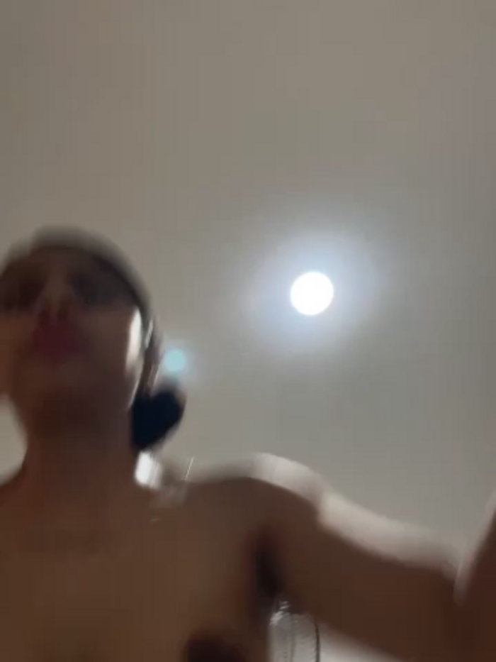 Dalia__melej