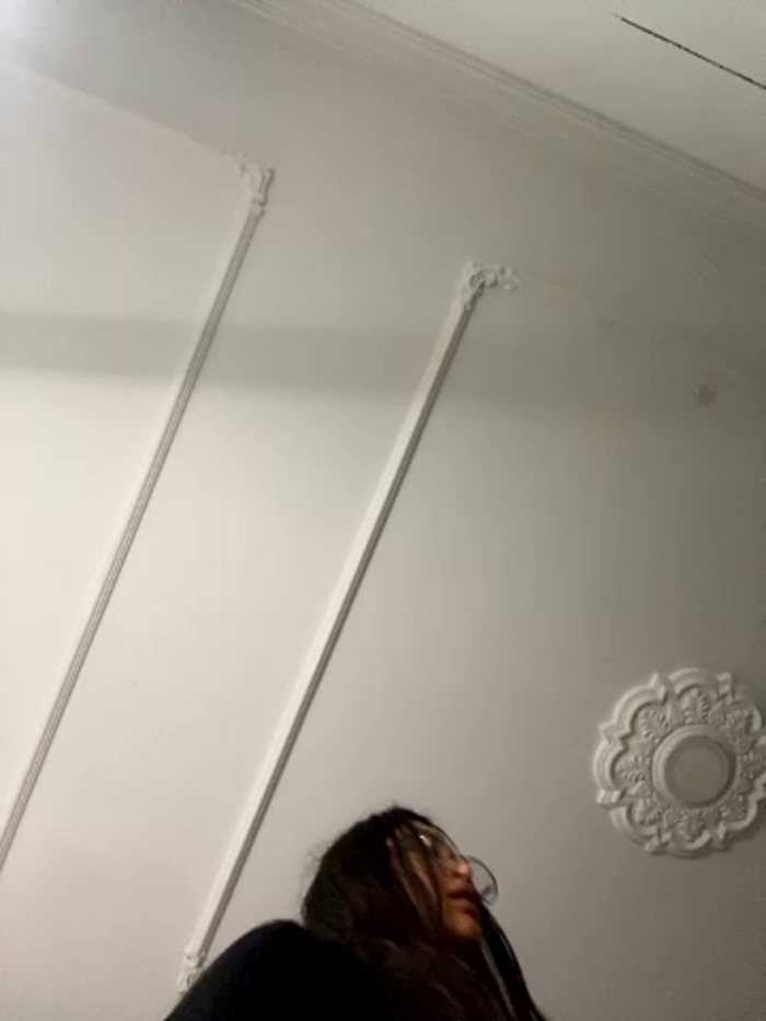 Bunny22_