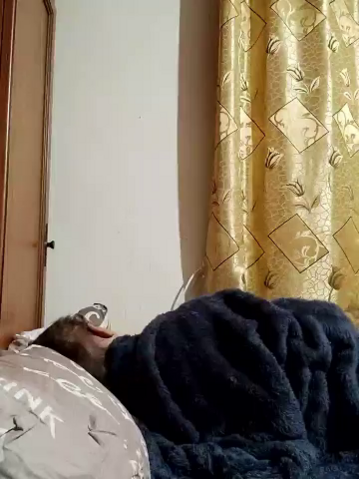 Zvezdnaya_Vedmichka