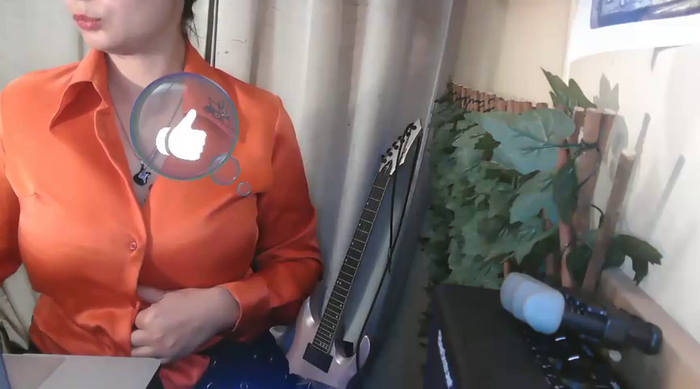 Le_Tirelipimpon