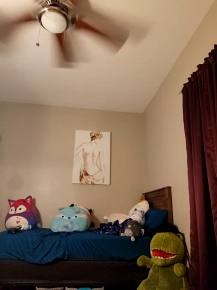 AmethystFoxx