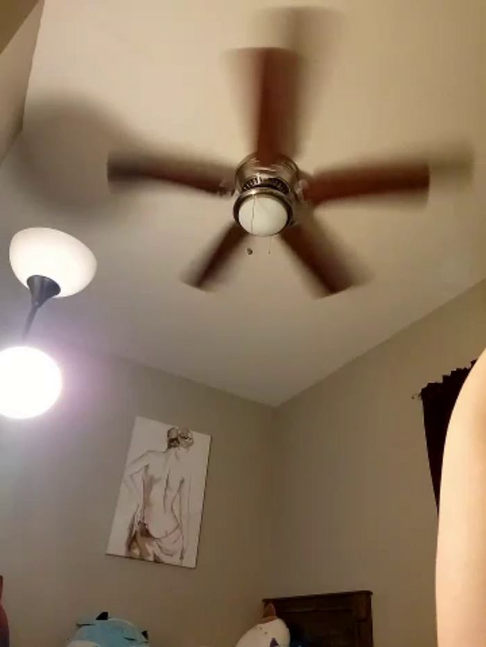 AmethystFoxx