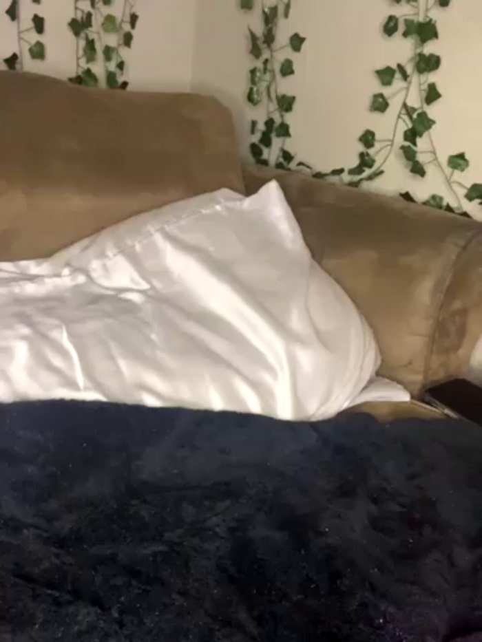 Shuggabutt