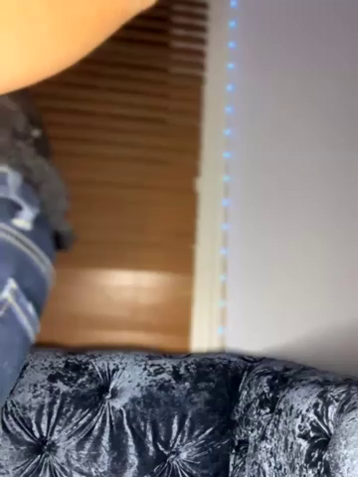 LittleMissEeve