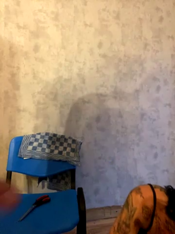 shelsysexy88